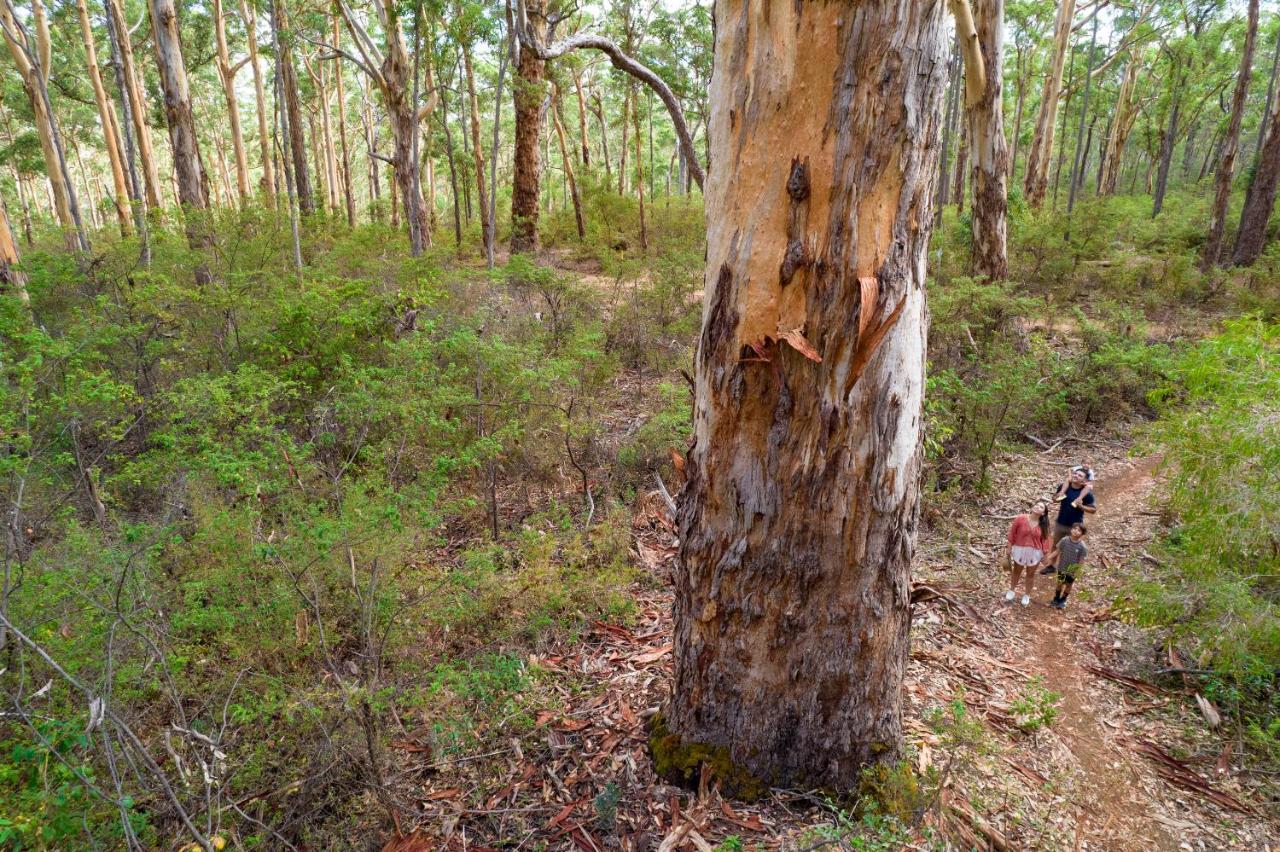 Rac Margaret River Nature Park Ngoại thất bức ảnh